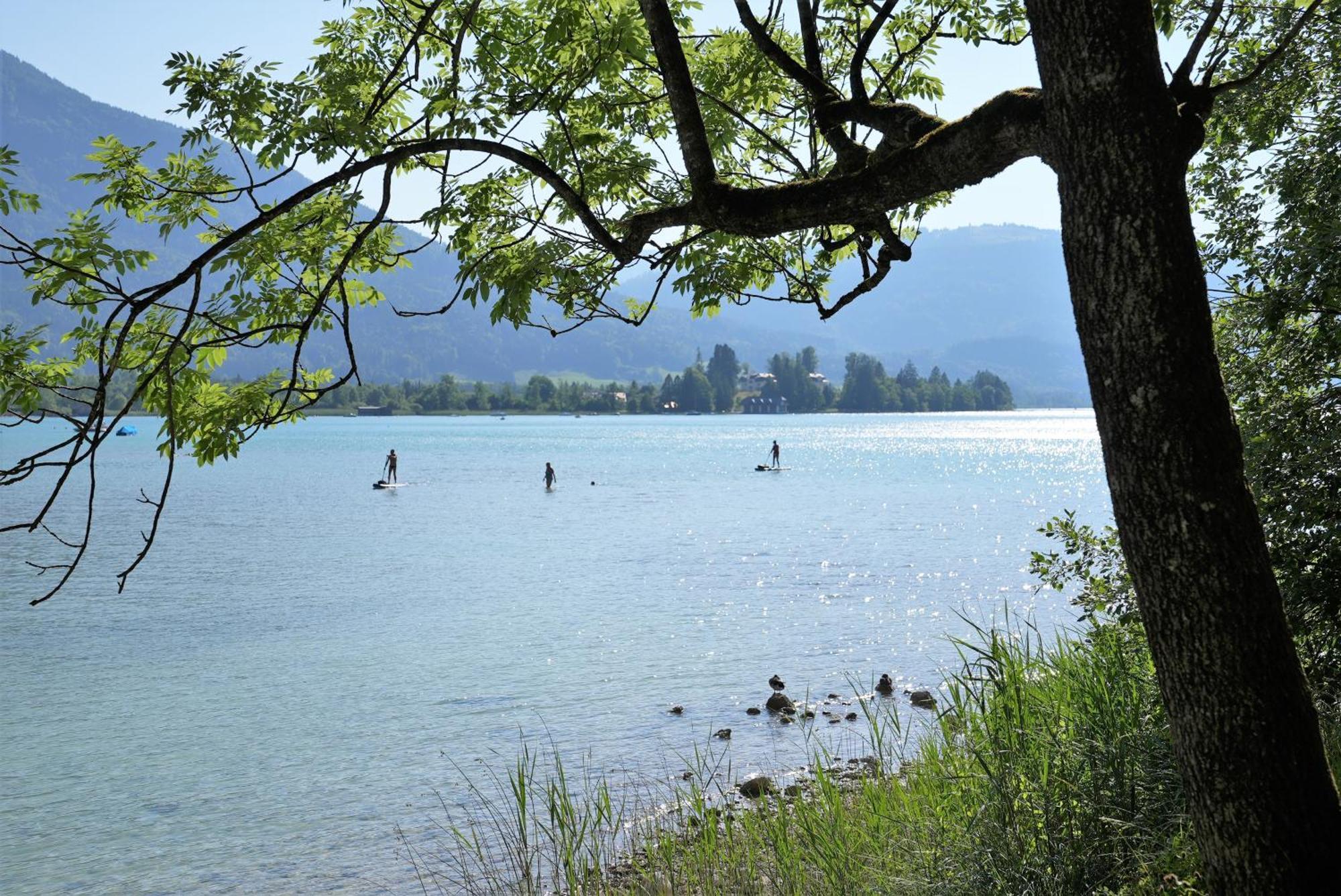 Bergblick 411 Am Wolfgangsee Strobl Cameră foto